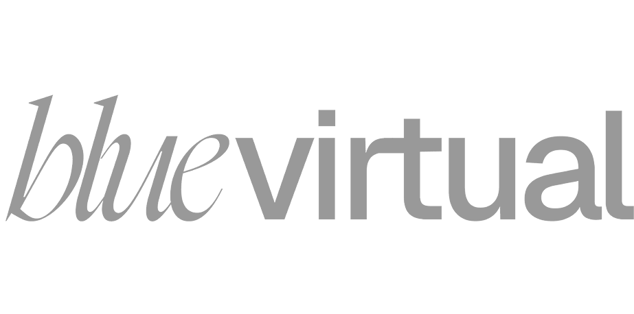 bluevirtual logo